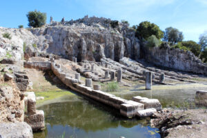 Oeniadae