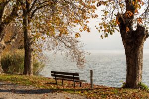 Greece Fall