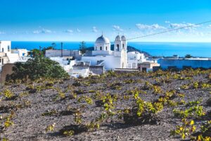 Santorini Wines and Volcanic Soil