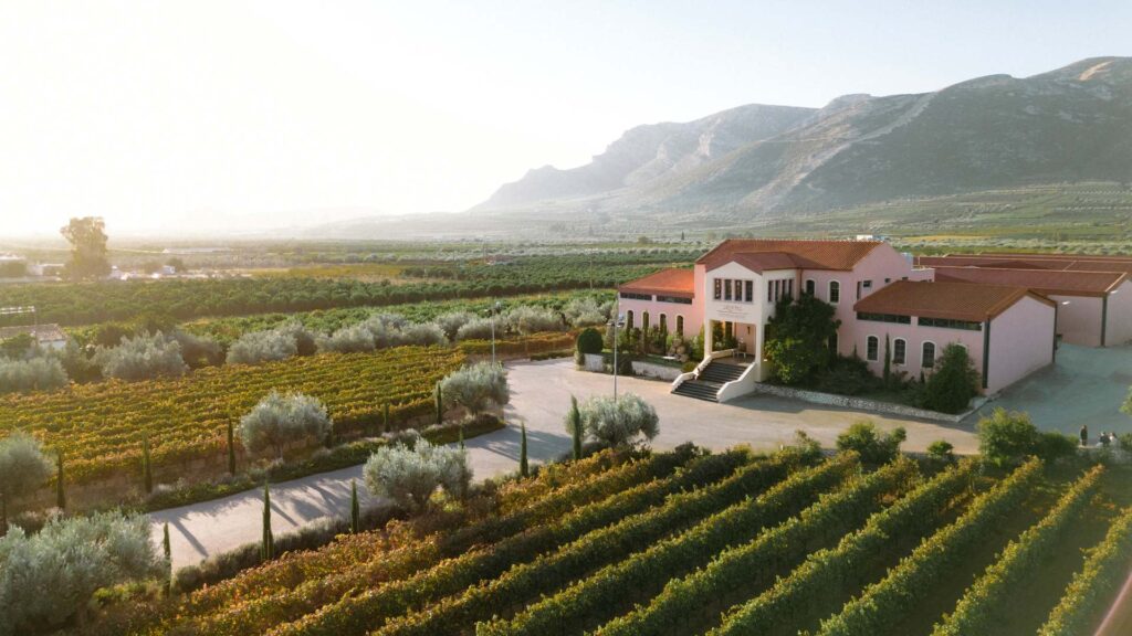 Northern Greece Vineyard Circuit