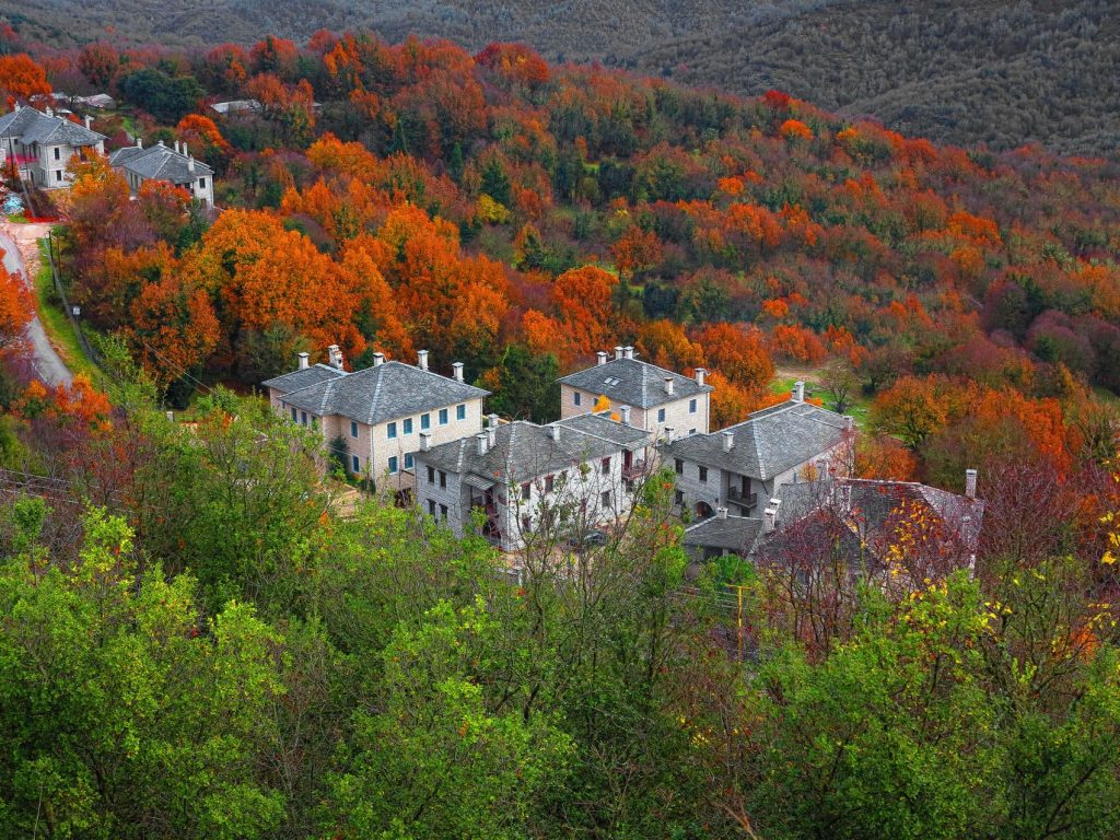 Vitsa